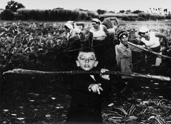 Mario Giacomelli : La buona terra  - Asta Fotografia - Associazione Nazionale - Case d'Asta italiane