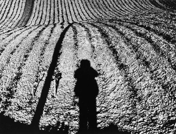 Mario Giacomelli : L'Infinito di Giacomo Leopardi  - Asta Fotografia - Associazione Nazionale - Case d'Asta italiane