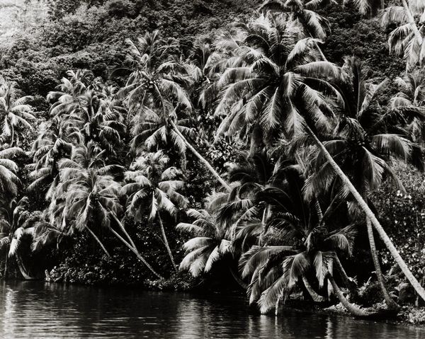 Gian Paolo Barbieri : Moorea  - Asta Fotografia - Associazione Nazionale - Case d'Asta italiane