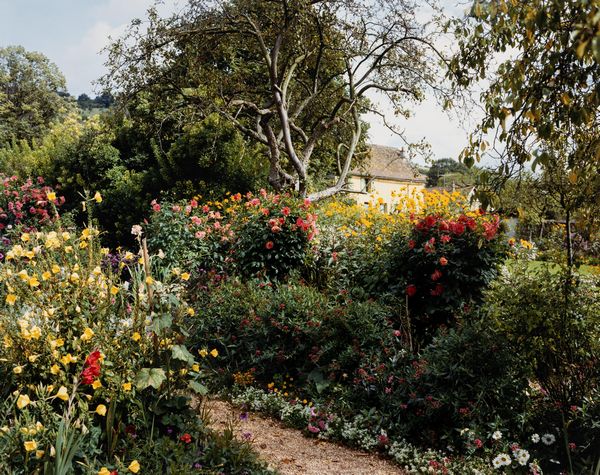 Stephen Shore : Giverny #16  - Asta Fotografia - Associazione Nazionale - Case d'Asta italiane