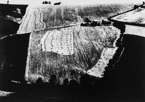 Mario Giacomelli : Storie della terra che muore  - Asta Fotografia - Associazione Nazionale - Case d'Asta italiane