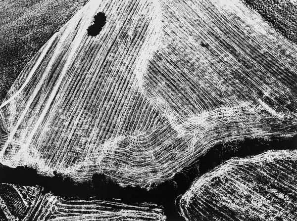 Mario Giacomelli : Presa di coscienza sulla natura  - Asta Fotografia - Associazione Nazionale - Case d'Asta italiane