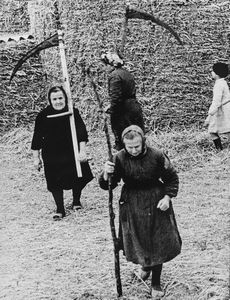 Mario Giacomelli - La buona terra