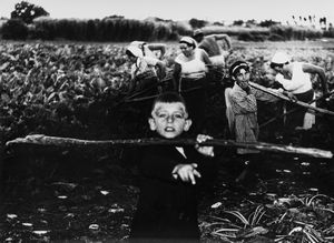 Mario Giacomelli - La buona terra