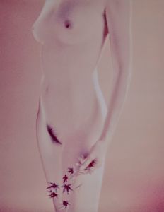 Toni Meneguzzo - Nude