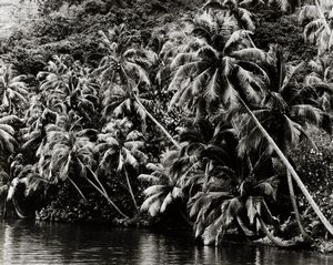 Gian Paolo Barbieri - Moorea