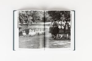 Elliott Erwitt : Provence, France - Volume Snaps  - Asta Fotografia - Associazione Nazionale - Case d'Asta italiane