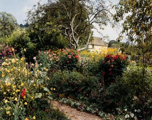 Stephen Shore - Giverny #16