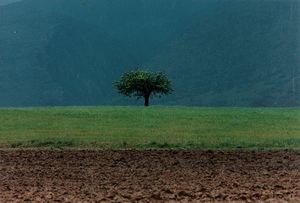 Abbas Kiarostami - Senza titolo