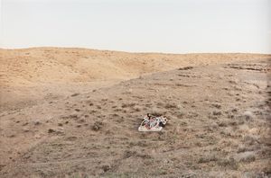 Gohar Dashti - Iran, Untitled #4