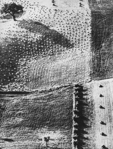 Mario Giacomelli - Presa di coscienza sulla natura