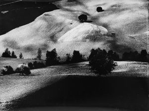 Mario Giacomelli - Presa di coscienza sulla natura