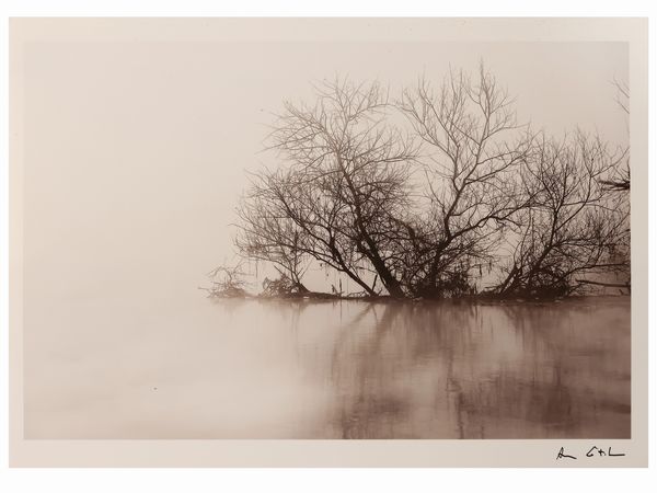 Antonio Lo Torto : Laguna, Italia 2005  - Asta Arte Moderna e Contemporanea - Associazione Nazionale - Case d'Asta italiane