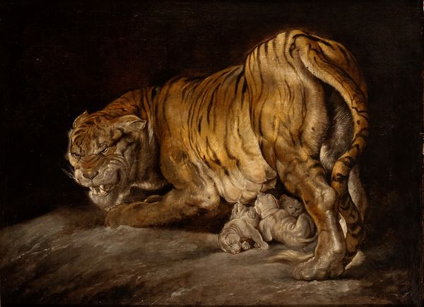 Peter Paul Rubens, Ambito di : Tigre con cuccioli  - Asta Dipinti dal XIV al XIX secolo, con una selezione di sculture - Associazione Nazionale - Case d'Asta italiane