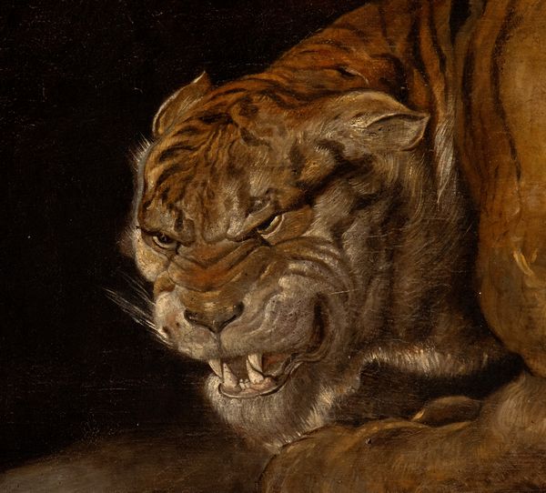 Peter Paul Rubens, Ambito di : Tigre con cuccioli  - Asta Dipinti dal XIV al XIX secolo, con una selezione di sculture - Associazione Nazionale - Case d'Asta italiane