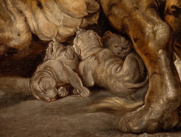 Peter Paul Rubens, Ambito di : Tigre con cuccioli  - Asta Dipinti dal XIV al XIX secolo, con una selezione di sculture - Associazione Nazionale - Case d'Asta italiane