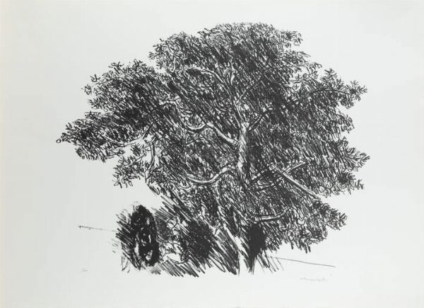 ENNIO MORLOTTI Lecco 1910 - 1992 Milano : Albero  - Asta Grafica - Associazione Nazionale - Case d'Asta italiane