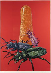 GABRIELE AMADORI Ferrara 1946 - Scarabei