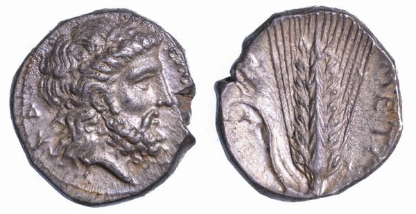 LUCANIA - METAPONTO. Nomos, anni 340-330 a.C.  - Asta Numismatica - Associazione Nazionale - Case d'Asta italiane