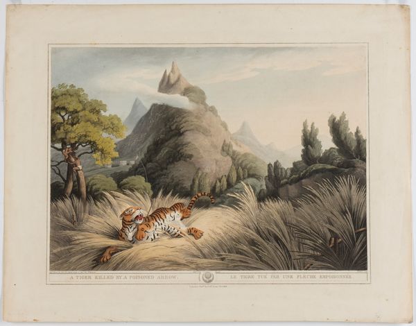 Henri Merke : A Tiger killed by a poisoned arrow  - Asta Stampe antiche e moderne, disegni e carte geografiche - Associazione Nazionale - Case d'Asta italiane