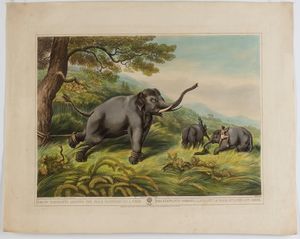 Henri Merke - Decoy Elephants leaving the Male fastened to a Tree