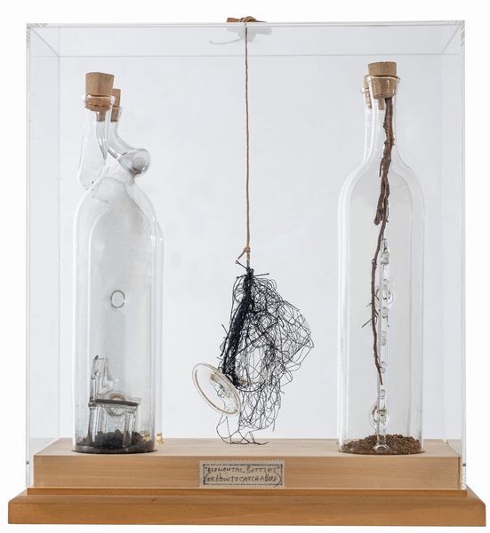 GEOFFREY  HENDRICKS : Elemental bottles (or how to catch a bird)  - Asta Asta di arte moderna e contemporanea - Associazione Nazionale - Case d'Asta italiane