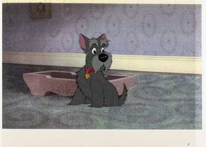 Studio Disney - Lady and the Tramp