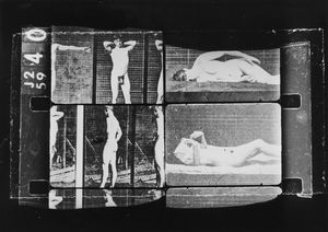 PAOLO GIOLI - L'assassino nudo (Muybridge)