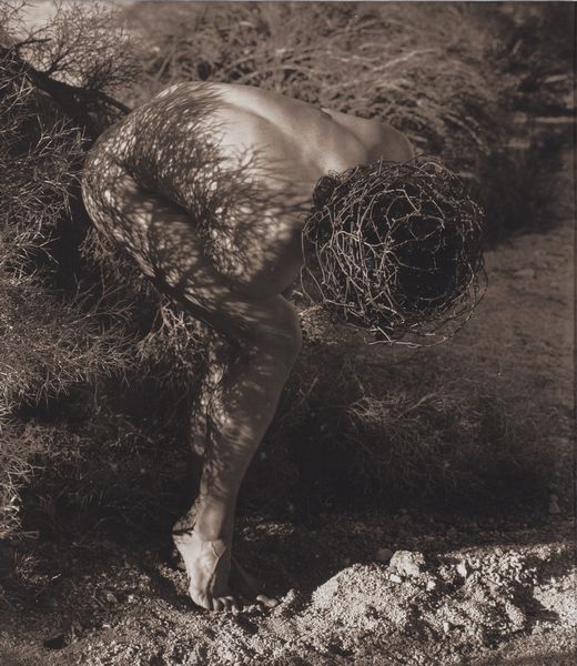 Herb Ritts : Male nude with thorns Joshua tree  - Asta Arte Moderna e Contemporanea - Associazione Nazionale - Case d'Asta italiane