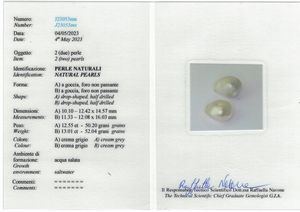 Orecchini con perle naturali, acqua salata, di ct 12.55 e 13.01  - Asta Fine Jewels - Associazione Nazionale - Case d'Asta italiane