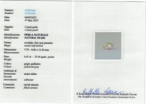 Spilla con perla naturale, acqua salata, di ct 6.41 e diamanti  - Asta Fine Jewels - Associazione Nazionale - Case d'Asta italiane