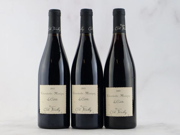 Chambolle-Musigny Les Cabottes Domaine Cécile Tremblay  - Asta ALCHIMIA - Vini Pregiati e da Collezione - Associazione Nazionale - Case d'Asta italiane