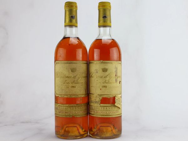 Château d’Yquem 1981  - Asta ALCHIMIA - Vini Pregiati e da Collezione - Associazione Nazionale - Case d'Asta italiane