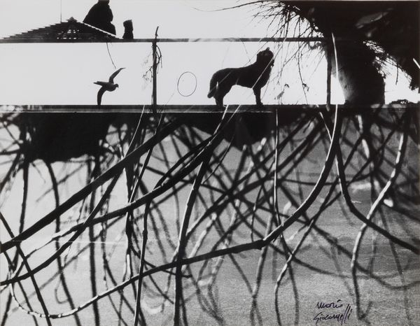 Mario Giacomelli : Senza titolo  - Asta Arte Contemporanea - Associazione Nazionale - Case d'Asta italiane