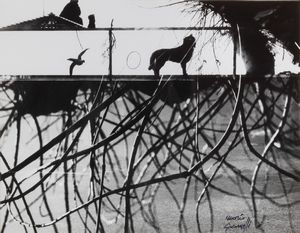 Mario Giacomelli - Senza titolo