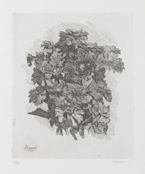 Giorgio Morandi : Gruppo di zinnie  - Asta Arte Moderna - Associazione Nazionale - Case d'Asta italiane