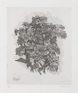 Giorgio Morandi - Gruppo di zinnie