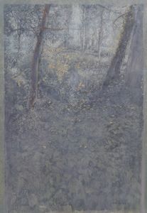 Piero Vignozzi - Studio di sottobosco