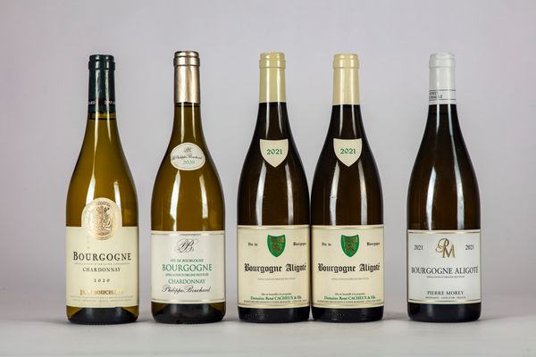 FRANCIA : SELEZIONE borgogna bianco (5 BT)  - Asta Vini e Distillati - Associazione Nazionale - Case d'Asta italiane