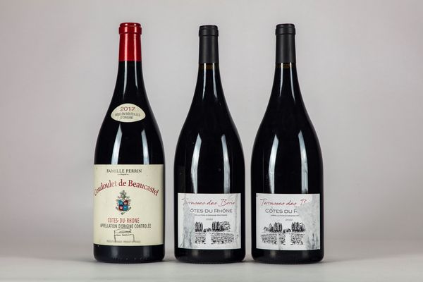 FRANCIA : Famille Perrin Domaine de Castel Coudoulet Cotes du Rhone Magnum 2017  - Asta Vini e Distillati - Associazione Nazionale - Case d'Asta italiane