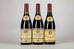 FRANCIA - Louis Jadot Bourgogne Pinot Noir (3 BT)