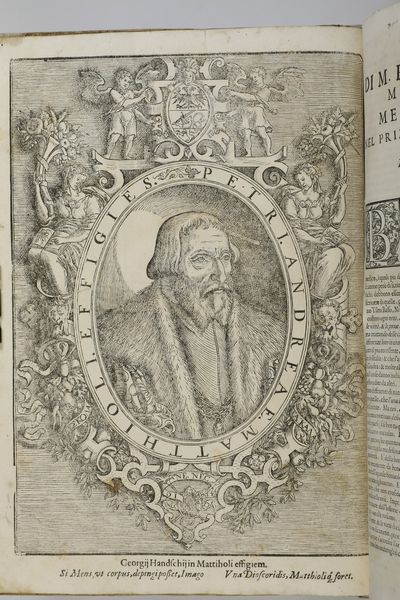 Mattioli Andrea I discorsi...nelli VI libri di Pedacio Dioscoride Anazarbeo, nella materia medicinale... parti I e II... In Venezia, Appresso Bartolomeo degli Alberti, 1604  - Asta Libri Antichi - Associazione Nazionale - Case d'Asta italiane