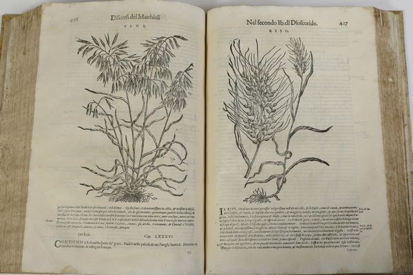 Mattioli Andrea I discorsi...nelli VI libri di Pedacio Dioscoride Anazarbeo, nella materia medicinale... parti I e II... In Venezia, Appresso Bartolomeo degli Alberti, 1604  - Asta Libri Antichi - Associazione Nazionale - Case d'Asta italiane