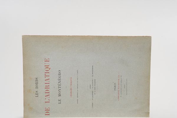 Charles Yriarte Les bords de l'Adriatique et le Montenegro. Venise, l'Istrie, le Quarnero, la Dalmatie, et la rive italienne. Paris, Hachette, 1878  - Asta Libri Antichi - Associazione Nazionale - Case d'Asta italiane