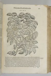 Mattioli Andrea I discorsi...nelli VI libri di Pedacio Dioscoride Anazarbeo, nella materia medicinale... parti I e II... In Venezia, Appresso Bartolomeo degli Alberti, 1604  - Asta Libri Antichi - Associazione Nazionale - Case d'Asta italiane