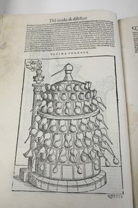 Mattioli Andrea I discorsi...nelli VI libri di Pedacio Dioscoride Anazarbeo, nella materia medicinale... parti I e II... In Venezia, Appresso Bartolomeo degli Alberti, 1604  - Asta Libri Antichi - Associazione Nazionale - Case d'Asta italiane