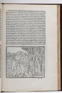 (Colonna Francesco) La Hypnerotomachia di Poliphilo cio pugna d'amore in sogna dov'egli mostra, che tutte le cose humane non sono altro che sogno e dove narra molt'altre cose degne di cognitione, in Venetia, in casa dei figliuoli di Aldo, 1545.  - Asta Libri Antichi - Associazione Nazionale - Case d'Asta italiane