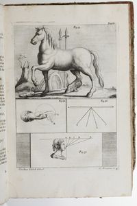 Leonardo Da Vinci-Raffaelle Du Fresne Trattato della pittura... nuovamente dato in luce con la vita dello stesso autore scritta da Du Fresne... si sono aggiunti i tre libri della pittura e il trattato della statua di Leon Battista Alberti... In Bologna, nellistituto delle scienze, 1786  - Asta Libri Antichi - Associazione Nazionale - Case d'Asta italiane