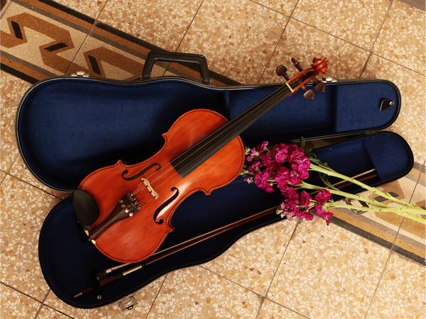 Violino d'epoca  - Asta La Casa del Maestro Pietro Annigoni e di Rosa Segreto - Associazione Nazionale - Case d'Asta italiane