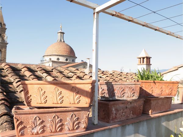 Assortimento di vasi a cassetta in terracotta  - Asta La Casa del Maestro Pietro Annigoni e di Rosa Segreto - Associazione Nazionale - Case d'Asta italiane